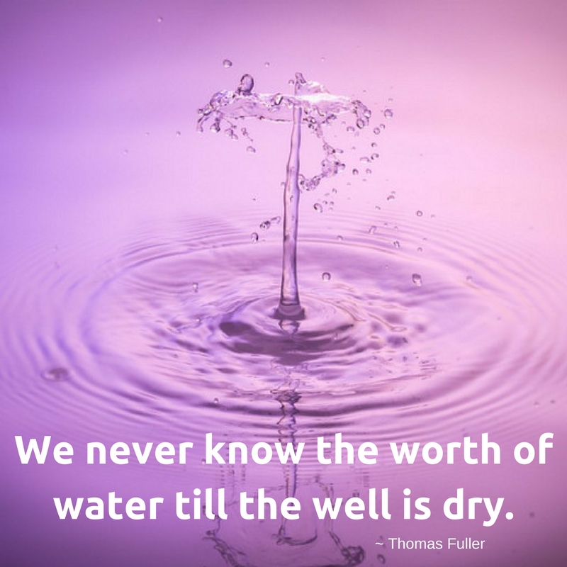 We never know the worth of water till the well is dry.