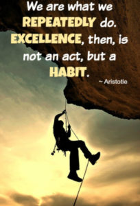 excellence-habit